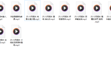 B站【aki秋水/迟早早oi】25.12月份舰限+年度比赛音声